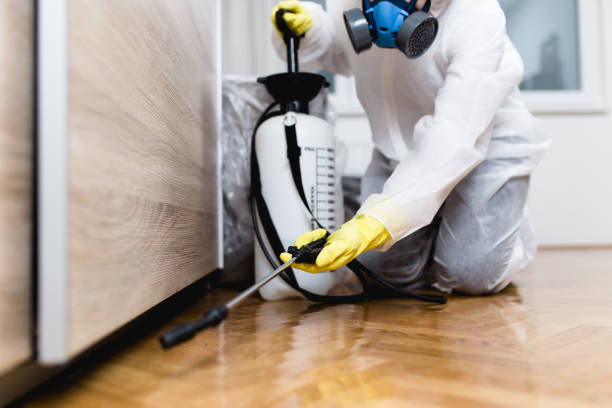 Best Bed Bug Extermination  in Rochelle, IL