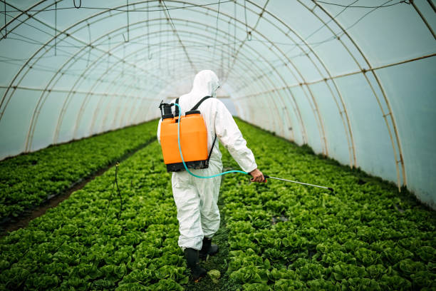 Best Best Pest Control Companies  in Rochelle, IL