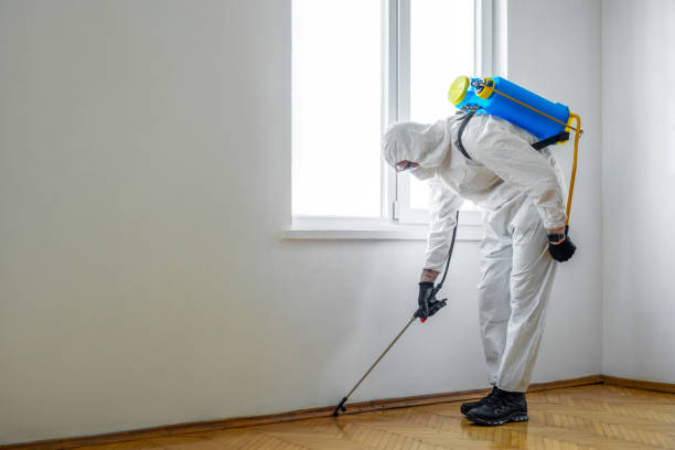 Best Mosquito Control Services  in Rochelle, IL