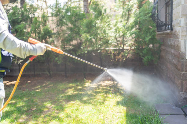 Professional Pest Control in Rochelle, IL