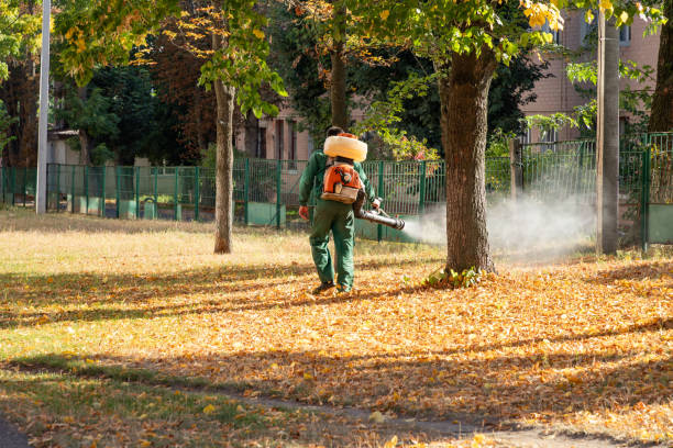 Best Wasp Removal Services  in Rochelle, IL