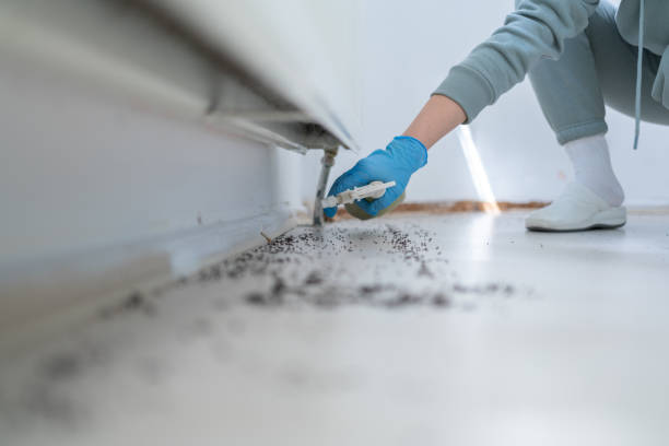 Best Best Pest Control Companies  in Rochelle, IL